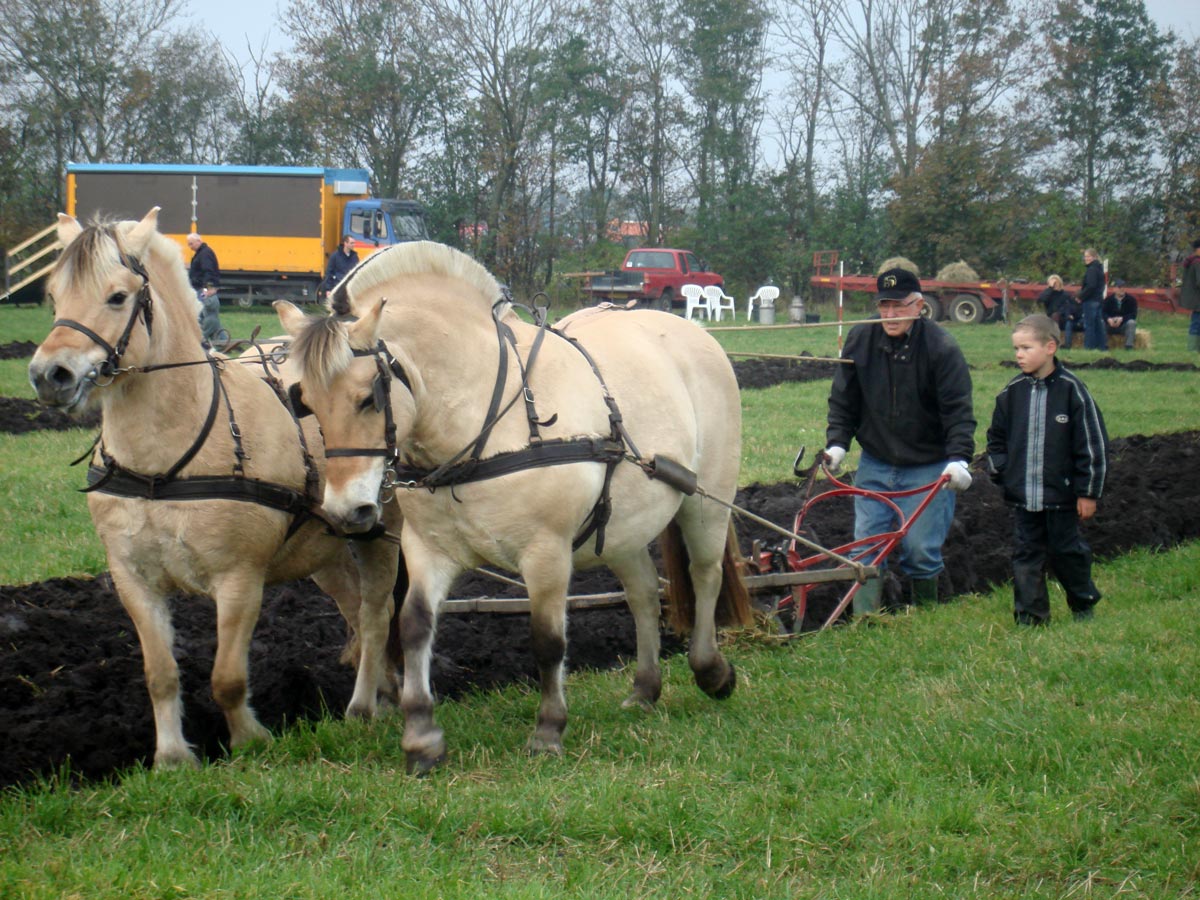 mikkel-Kruse.jpg