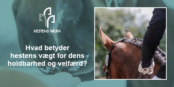 600x300_Apsis_Topbanner_HestensVaern_HR22_SIT2.jpg