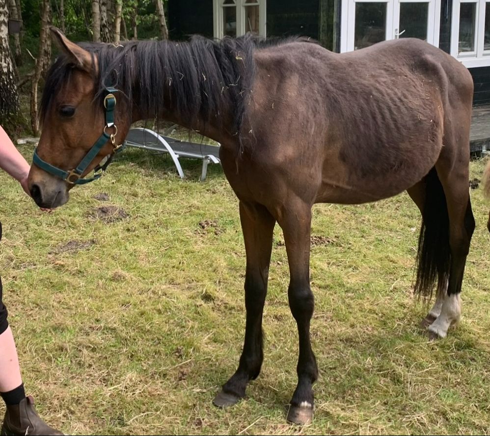 image0før.jpeg