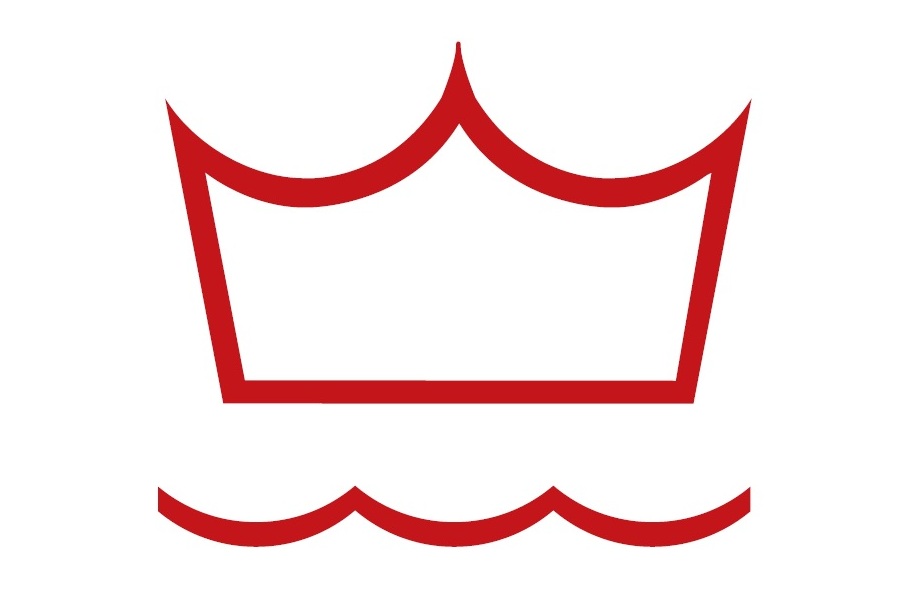 DV logo.jpg
