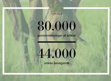 S&aring; mange l&aelig;ser indholdet p&aring; Uanvendelig.dk