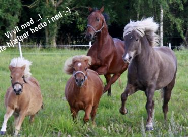 Rid i den gode sags tjeneste!