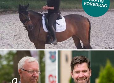 Gratis foredrag: Tr&aelig;n din hest, s&aring; den holder